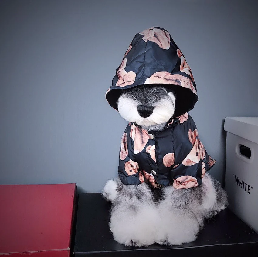 Title 5, Net Red Puppy Autumn And Winter Raincoat Waterp...
