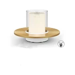 miniatures image - 2