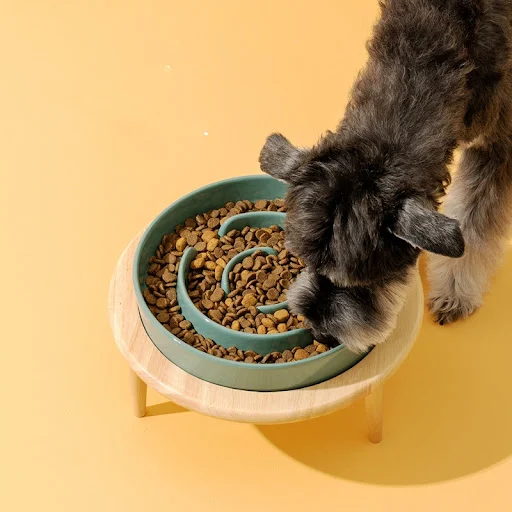 Title 1, Ceramic Slow Feed Pet Bowl with Neck Protection...