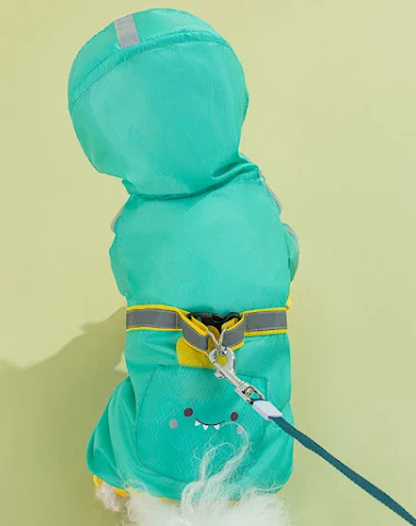Image product - 3