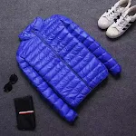 Royal blue standup collar