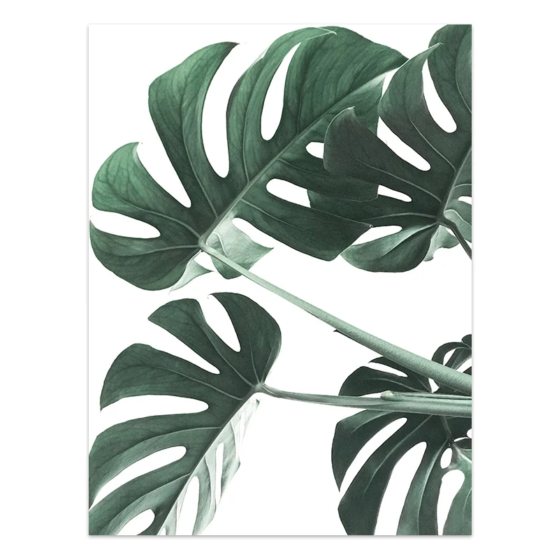 Pôster de plantas tropicais em estilo nórdico, folhas verdes em tela, arte de parede para decoração moderna, crie um ambiente natural e fresco em sua casa. — foto 11