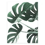 Pôster de plantas tropicais em estilo nórdico, folhas verdes em tela, arte de parede para decoração moderna, crie um ambiente natural e fresco em sua casa. — foto 11