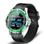 Silver green shell black belt