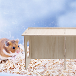 miniatures image - 2