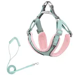 Pink green1