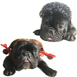 miniatures image - 2
