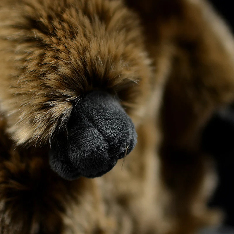 Cute Groundhog Simulation Animal Plush Model. A realistic and cuddly plush perfect for play or display. Makes a great gi — photo 5