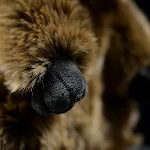 Cute Groundhog Simulation Animal Plush Model. A realistic and cuddly plush perfect for play or display. Makes a great gi — photo 5