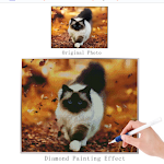 Entspannendes Diamond Painting Set "Zuckersüße Kittenlandschaft". Erschaffe glitzernde Kunstwerke, perfekt für Deko und DIY-Projekte. — foto 2