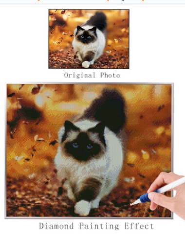 Image product - 1