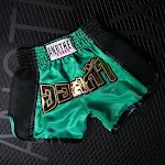 Dark Green And Black Net