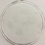 Transparent