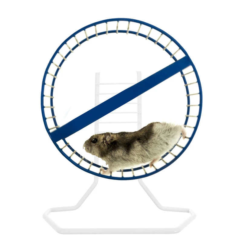Title 7, 1PC Hamster Running Wheel Rack Hamster Running ...