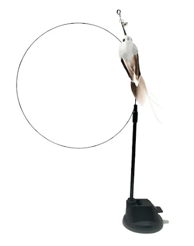 Image product - 3