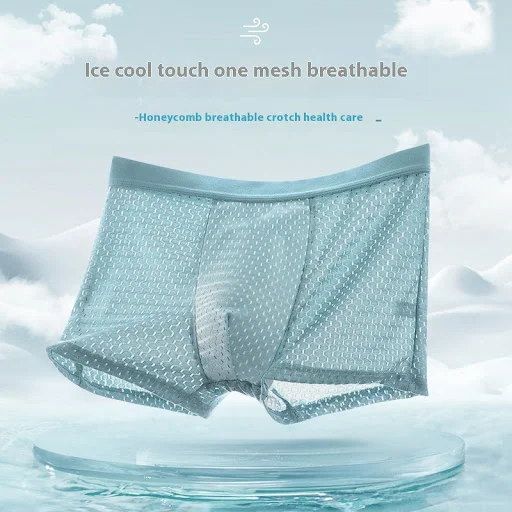 Title 6, Ice Silk Mesh Mens Underwear