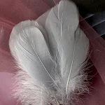 Penas coloridas macaron para decoração DIY e brinquedos para gatos. Material perfeito para criar teasers e estimular a diversão felina. — foto 21
