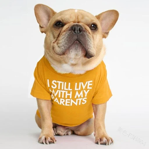 Title 7, Pet Dog Letter T-shirt. Comfortable and fun clo...