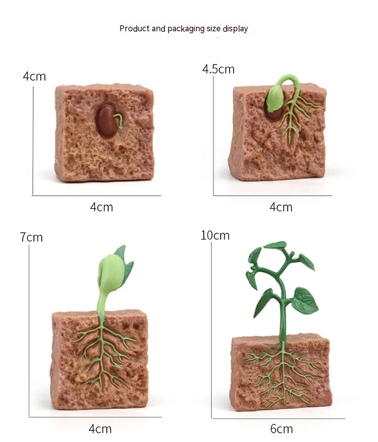 Title 25, Ciclo de crescimento de plantas de animais de b...