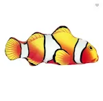 Clownfish