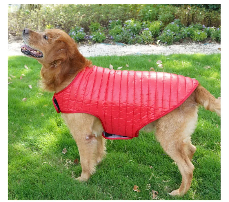 Title 10, Winter Anti-lint Pet Winter Clothes for Small a...