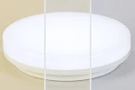 miniatures image - 1