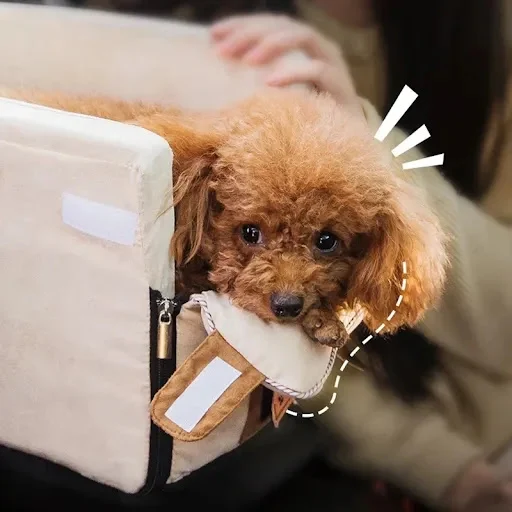 Puppy Dog Car Seat Travel Central Control Portable Pet Carrier for Small Dogs Chihuahua Teddy Cats Car Transport Dog Acc — photo 5