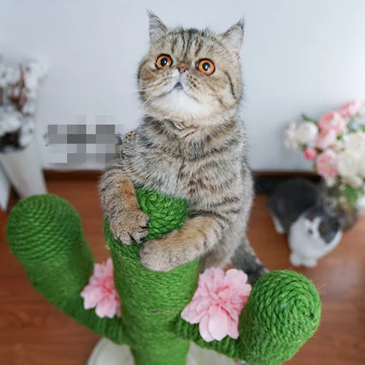 Title 2, DIY Handmade Rope crafting your own strong and ...