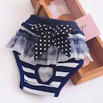 Female Dog Aunt Physiological Pants Panties — photo 5