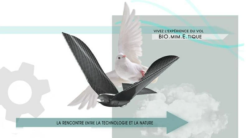 Title 4, Mobile Phone Remote Control Bionic Bird Control...