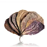 miniatures image - 1