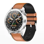 Brown Silver