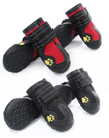 Image product - 1