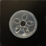 miniatures image - 2