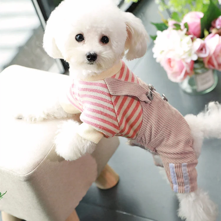 Dog thin autumn and winter clothes Keep your dog warm and cozy with these lightweight clothes, designed for cooler tempe — photo 1
