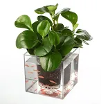 miniatures image - 2