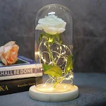 miniatures image - 17
