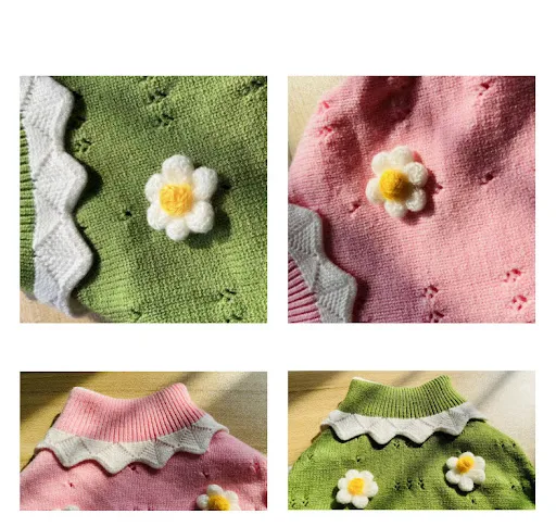 Title 1, Herfst- en winterhonden- en katten sweaters