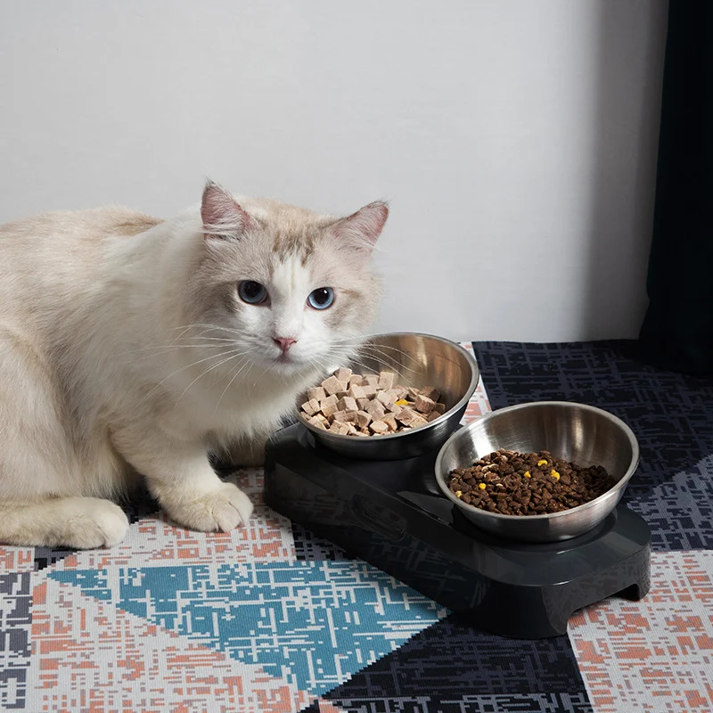 Stainless steel pet double bowl with night design, non-slip, perfect for food and water, keeping things tidy. — photo 9