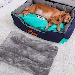 Summer Fully Removable and Washable Big Dog Mat. Provides cool comfort and easy cleaning for your large dog during the h — photo 6