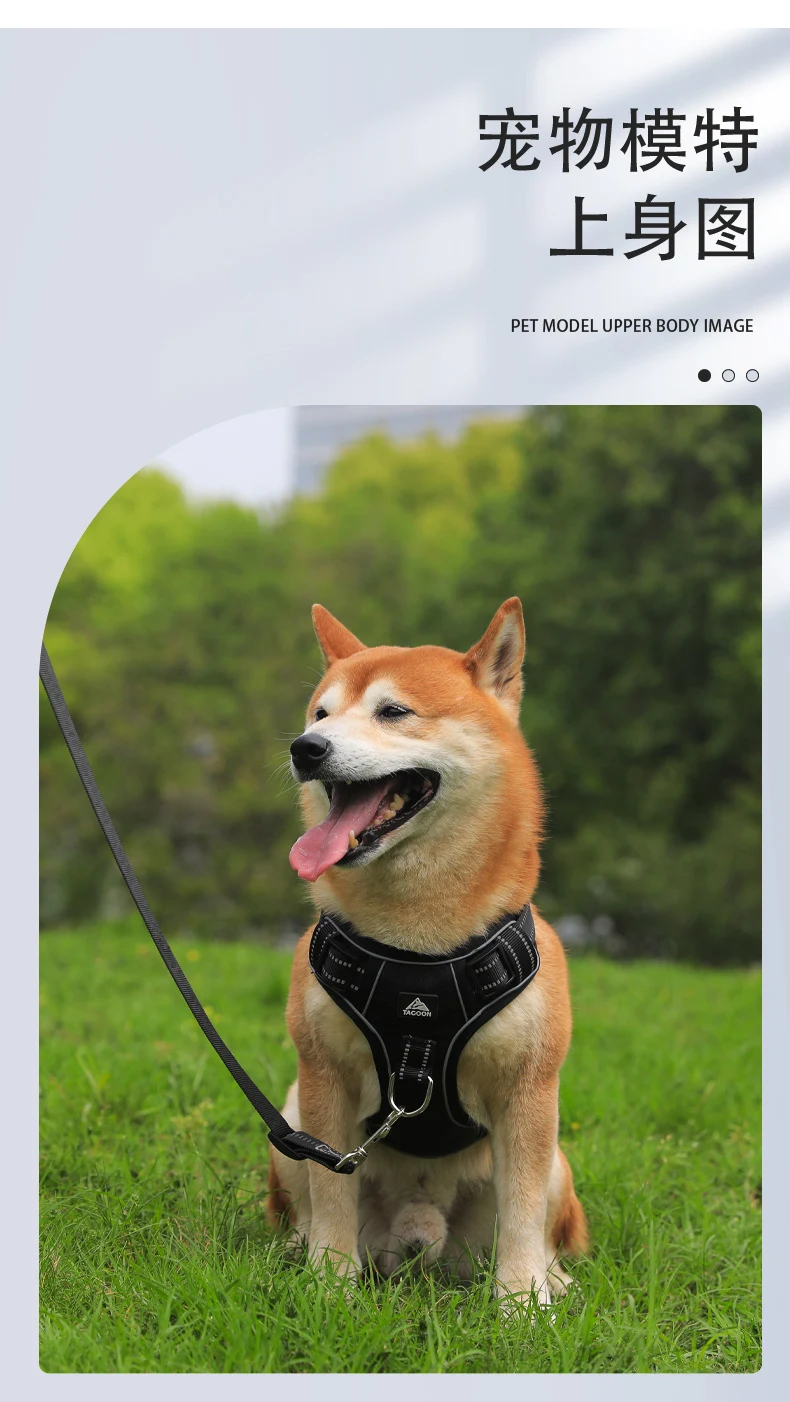 Title 12, Dog Harness Quick Release Vest Pet Puppy Harnes...