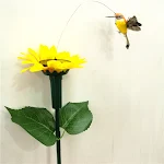 Borboleta Solar com Girassol Voador — foto 2