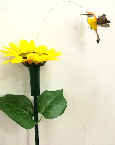 Image product - 1