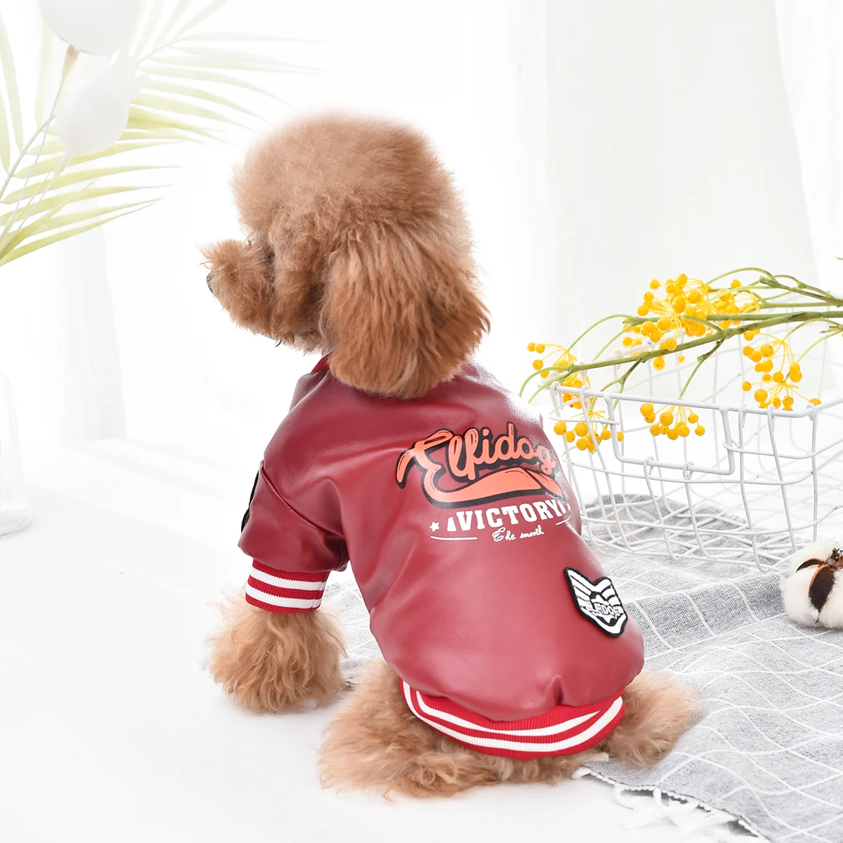 Title 14, Winter Dog Coat Jacket Faux Leather Fleece Tedd...