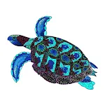 Sea turtle