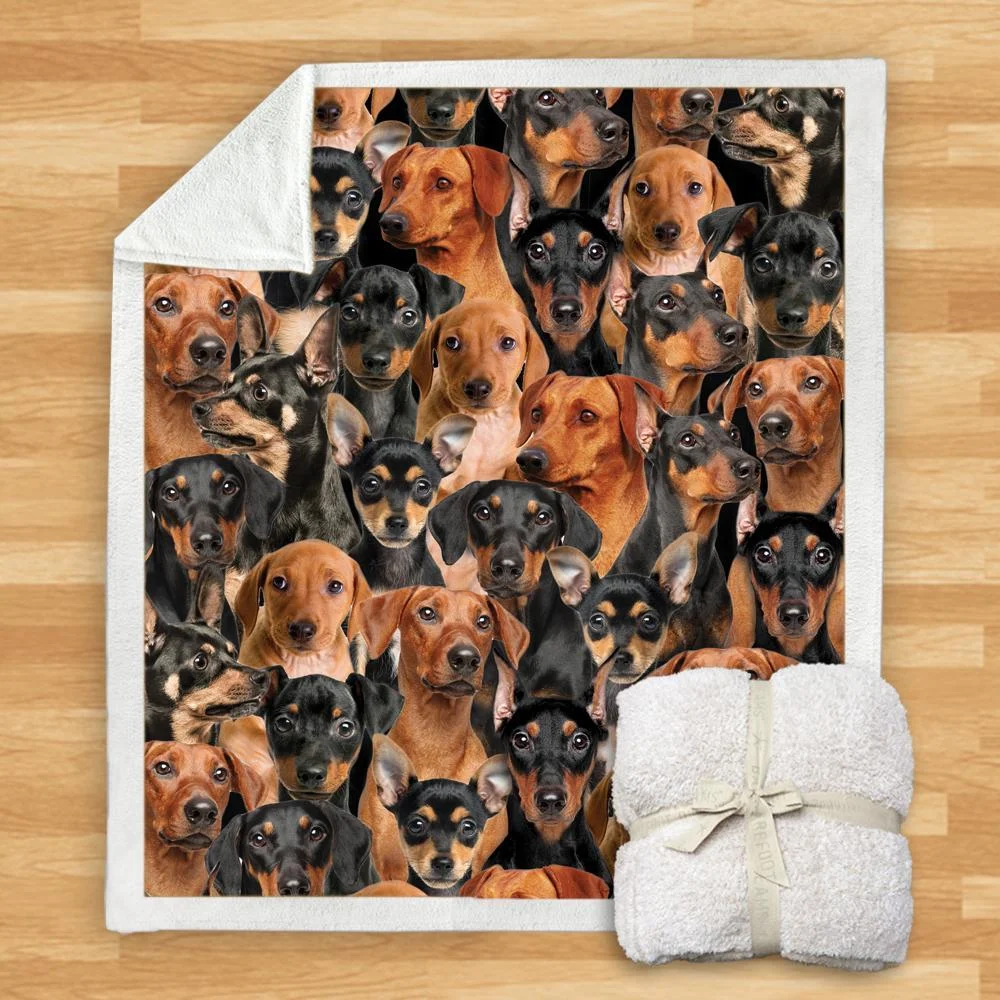New Fashion Pet Dog Printed Flannel Blanket, Soft and Warm, Perfect for Pets, Modern Design, Provides Superior Comfort — photo 12
