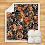 New Fashion Pet Dog Printed Flannel Blanket, Soft and Warm, Perfect for Pets, Modern Design, Provides Superior Comfort — photo 12