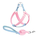 Set Pink Blue