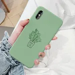 Small leaves