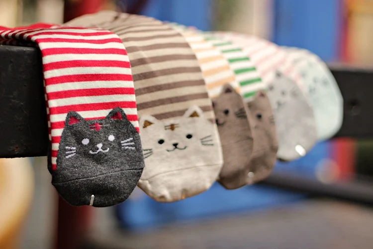 Title 5, Striped Cat Socks